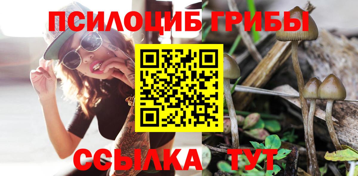 Качканар  Галлюциногенные грибы ЛСД  Вход с VPN  Галлюциногенные грибы ЛСД 